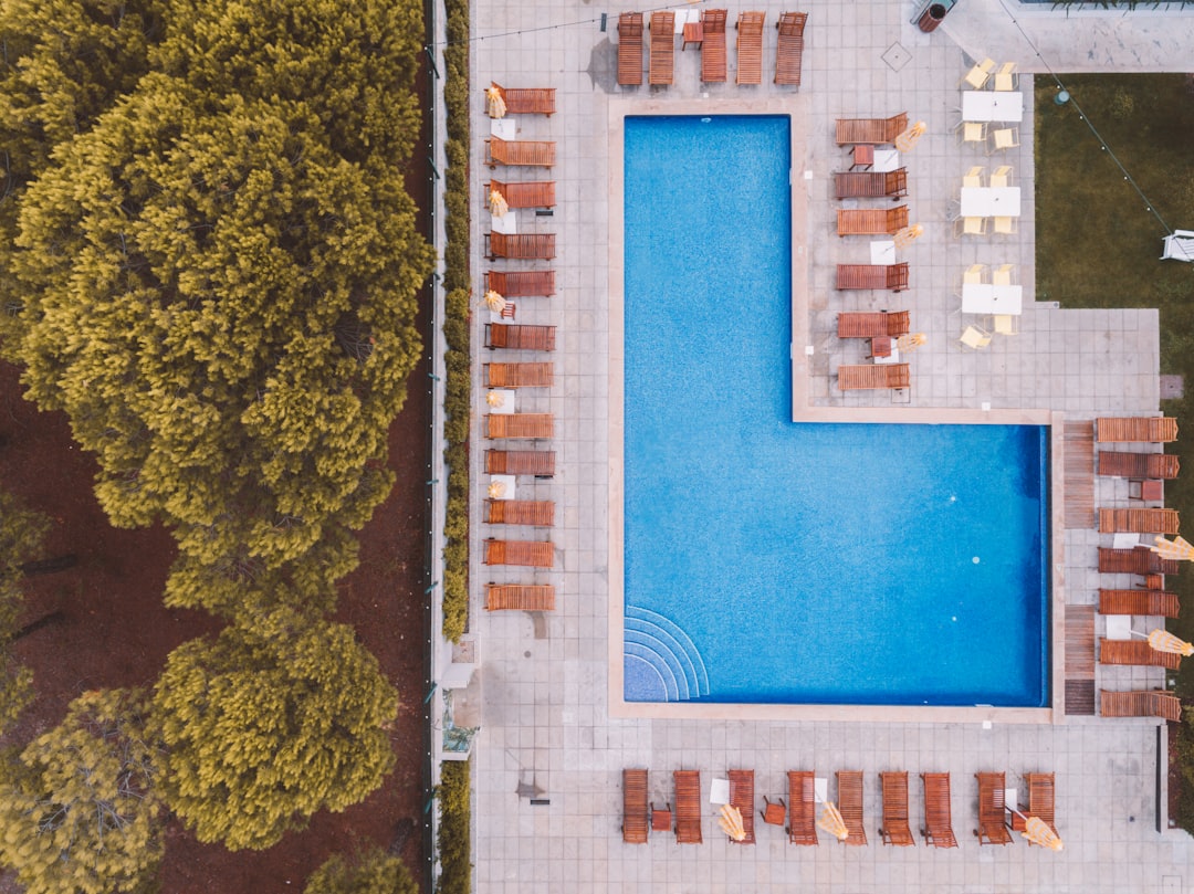 birdeye-view-photography-of-swimming-pool-near-trees-i8ir6fekdbm